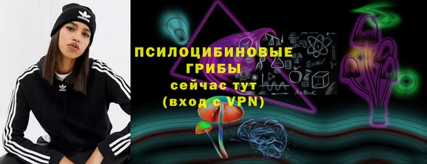 spice Аркадак