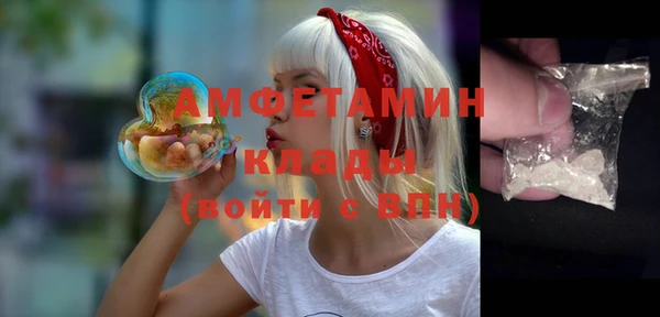 прущие грибы Балахна