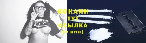 прущие грибы Балахна