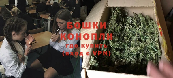 ГАЛЛЮЦИНОГЕННЫЕ ГРИБЫ Арсеньев