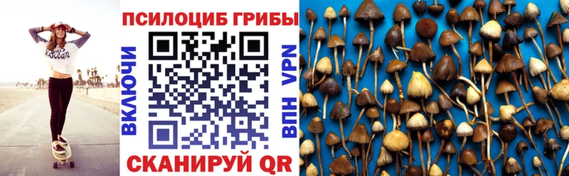 дарнет шоп  Боготол  Галлюциногенные грибы GOLDEN TEACHER 