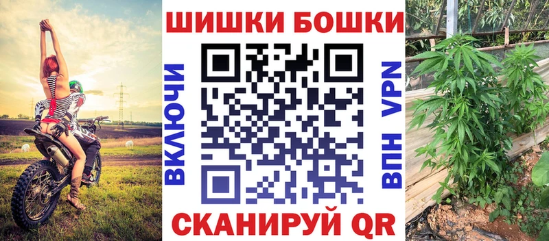 Каннабис план  Боготол 